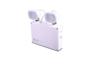 Twin flood light